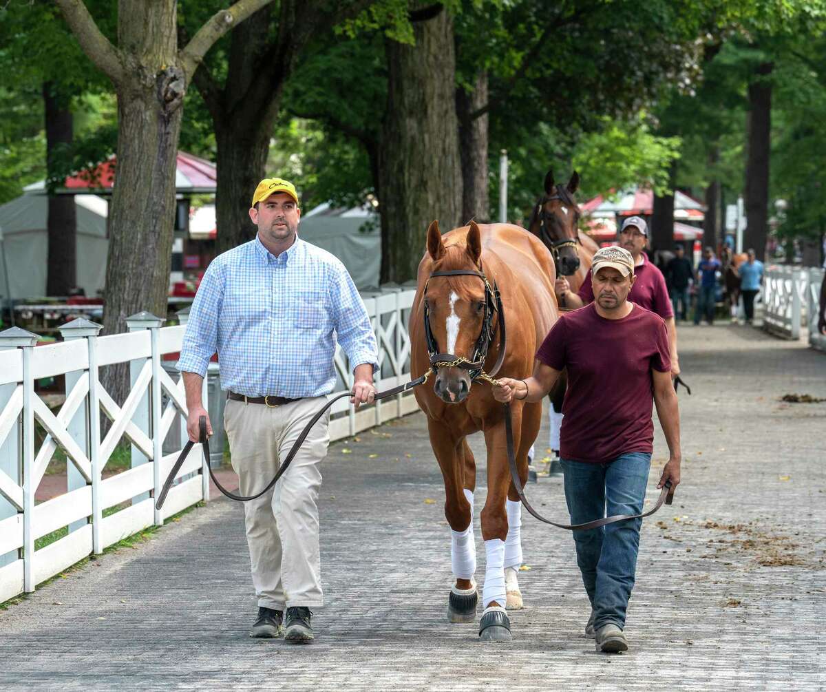 First Captain, who will run in the Curlin Stakes, enters the paddock for a schooling session at Saratoga Race Course on Wednesday, July 28, 2021, in Saratoga Springs, N.Y.