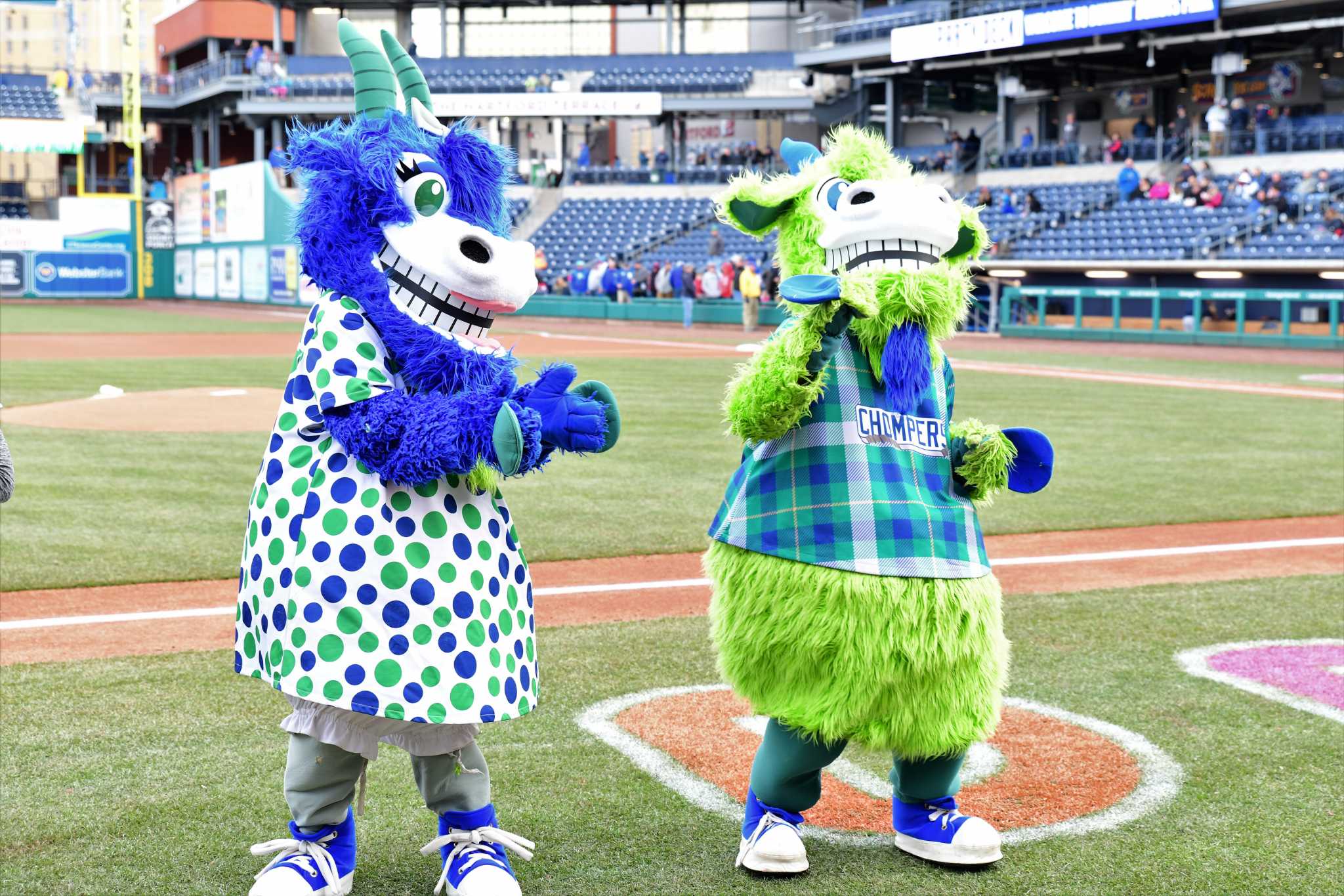 This is something he's always wanted to do': Hartford Yard Goats hold mascot  auditions ahead of offseason appearances