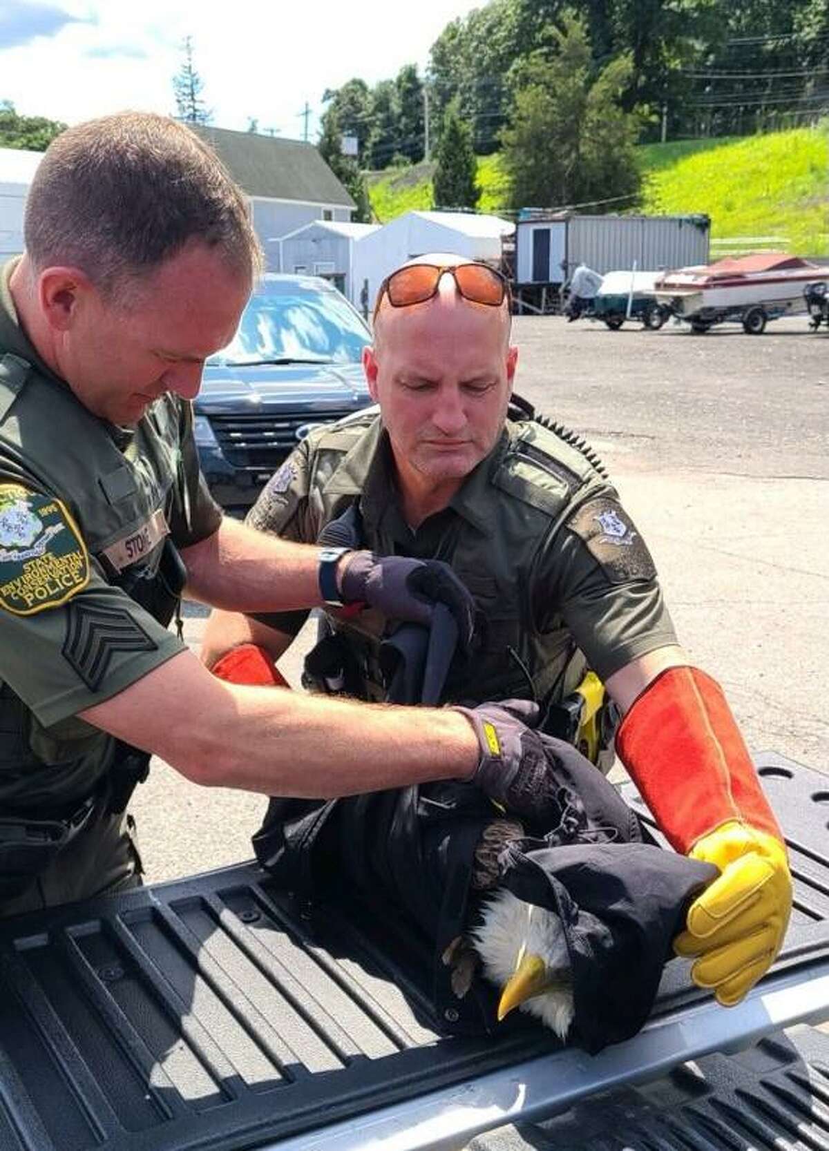 Shelton firefighters from Pine Rock Park, onboard Marine 1, assisted the state Department of Energy and Environmental Protection (DEEP) in recovering an injured bald eagle from the Housatonic River Saturday, July 31, 2021.