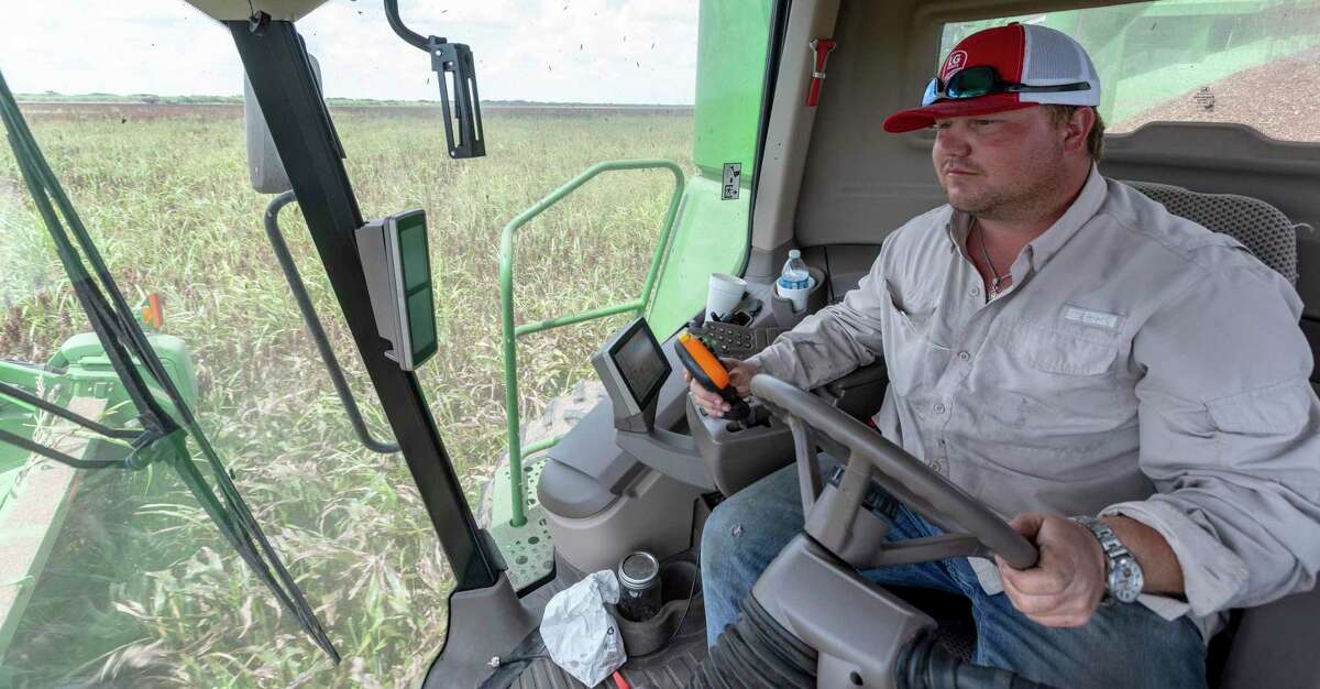Corey Ring harvests sorghum on his family’s farm. The U.S.-China Phase 1 trade deal that went into effect in early 2020 has reopened the China market for Texas farmers.