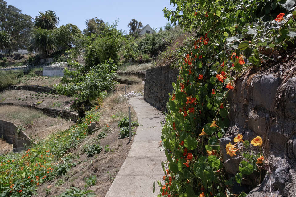 Surprising Black Point Historic Gardens Images