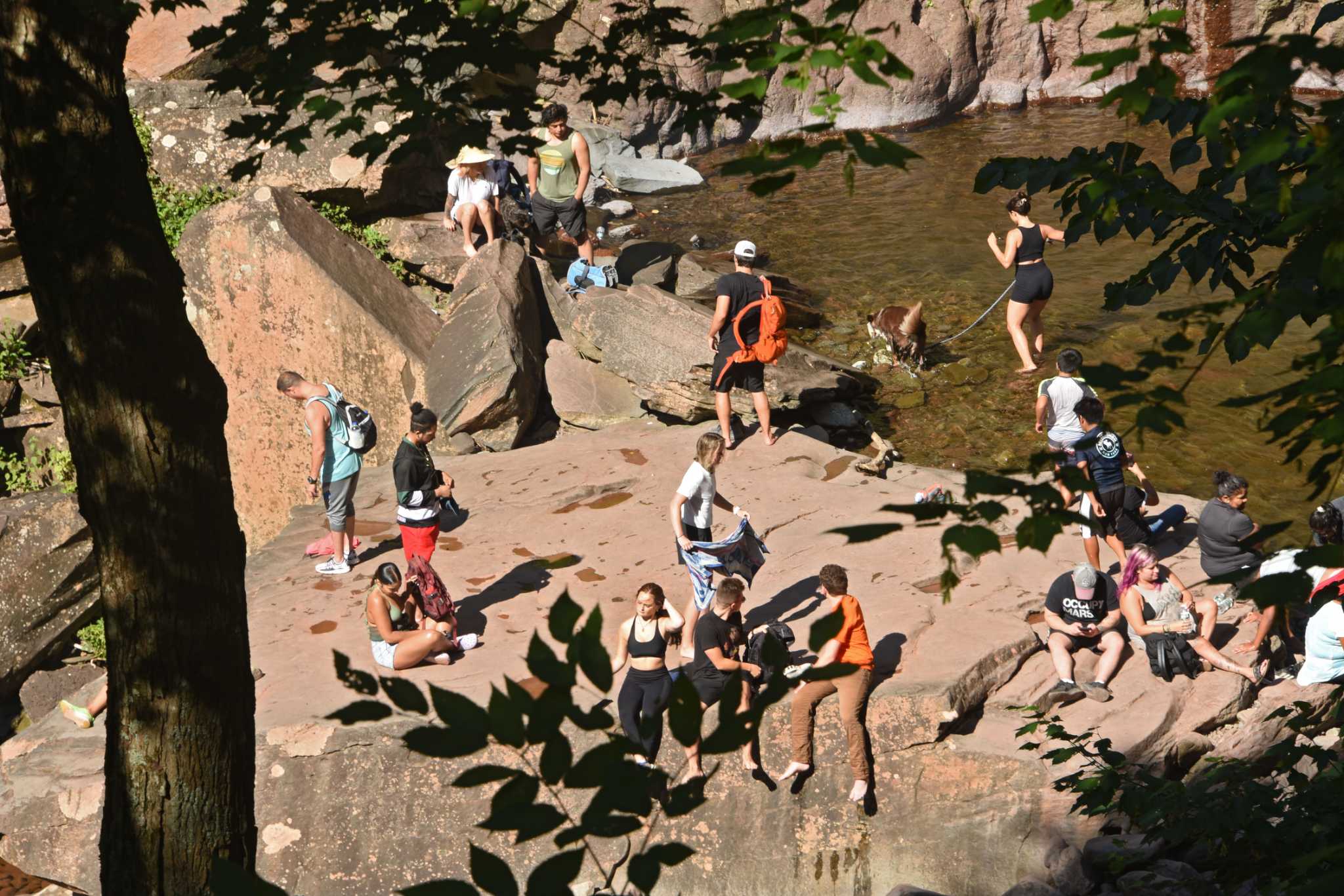 Public input sought on Catskills, Adirondacks visitor use project - Vimarsana News