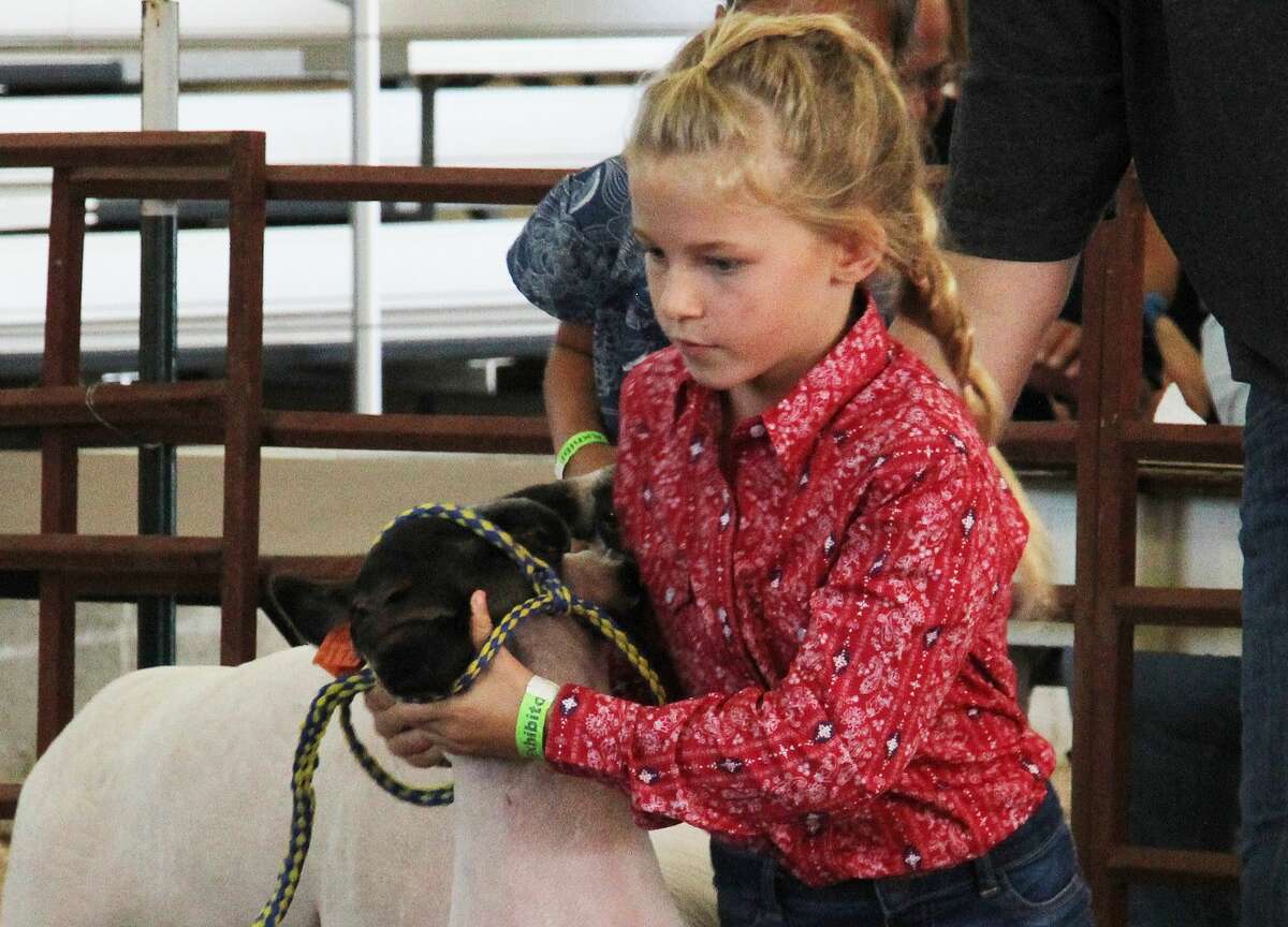 The 2021 Huron Community Fair kicked into high gear on Monday with harness racing, the rabbit show, KOI drag racing, the 4-H horse show, Elkton Lions Club bingo, the sheep show and a silent auction at the Merchant Building.