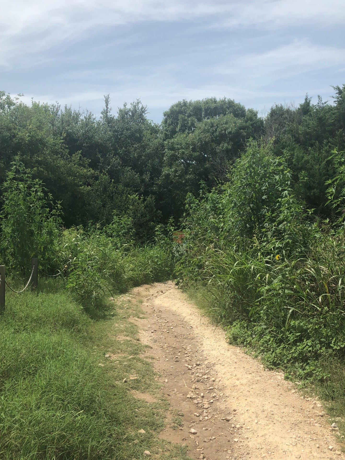 Great Springs Project' will connect San Antonio to Austin with 100 miles of  trails