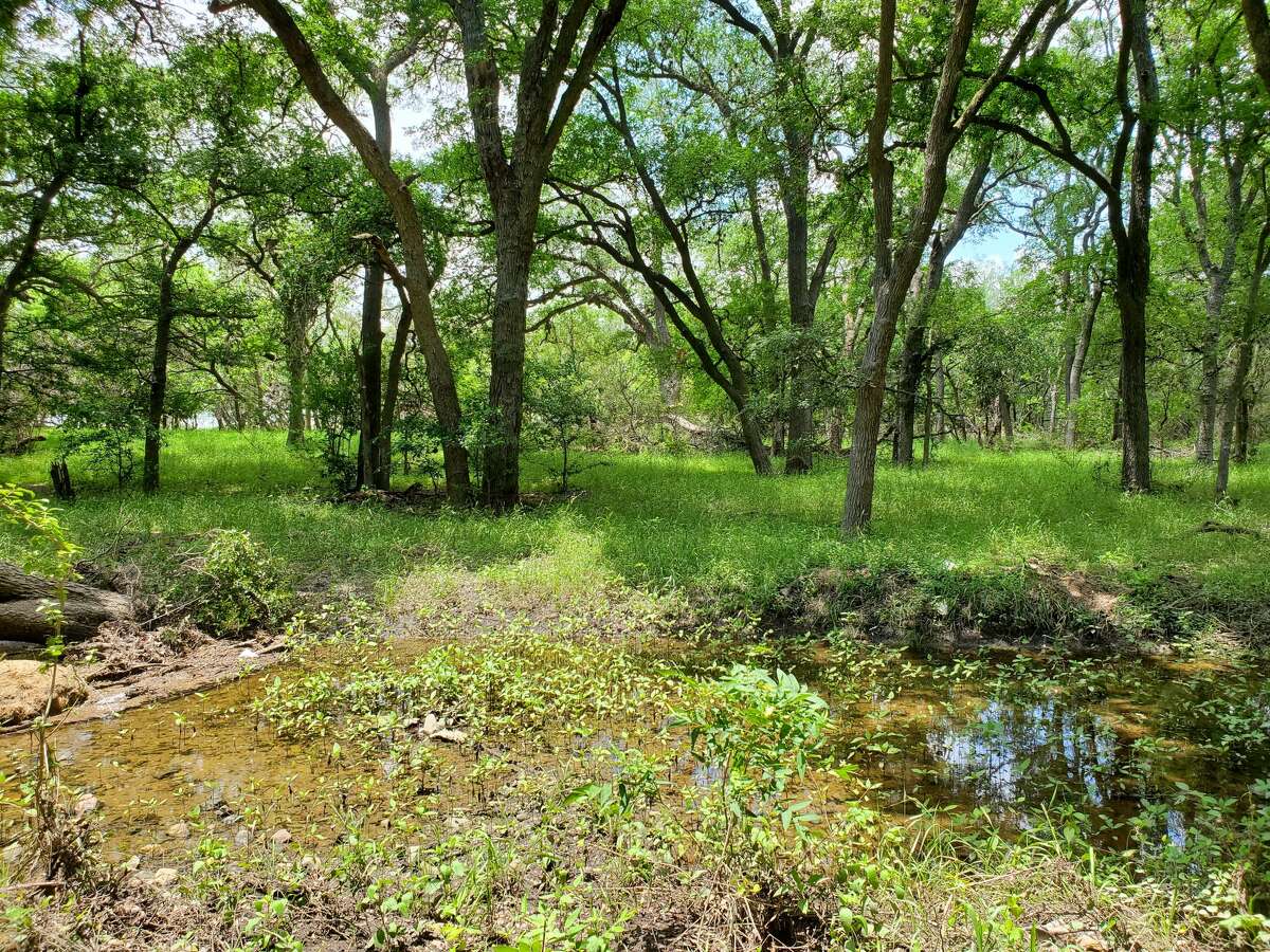 Comal County's Alligator Creek Trail is in preliminary planning.  It would connect the north side of New Braunfels to San Marcos.