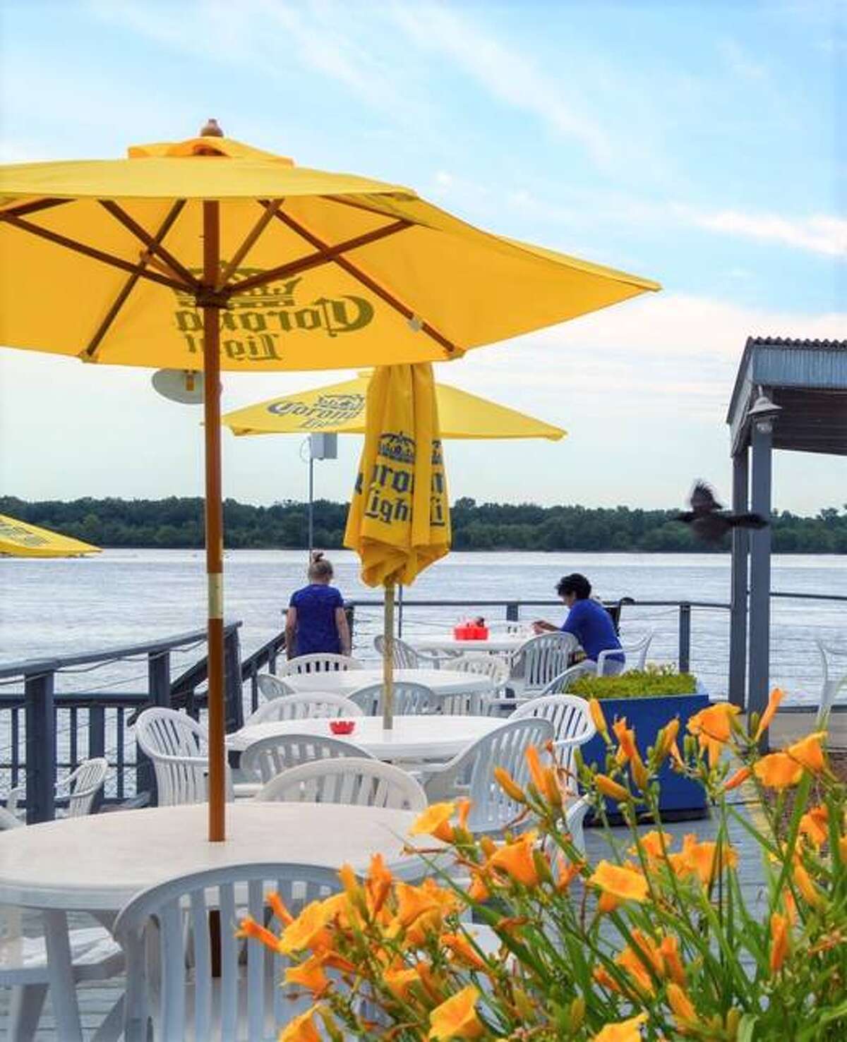 Take 5 Things to do this week