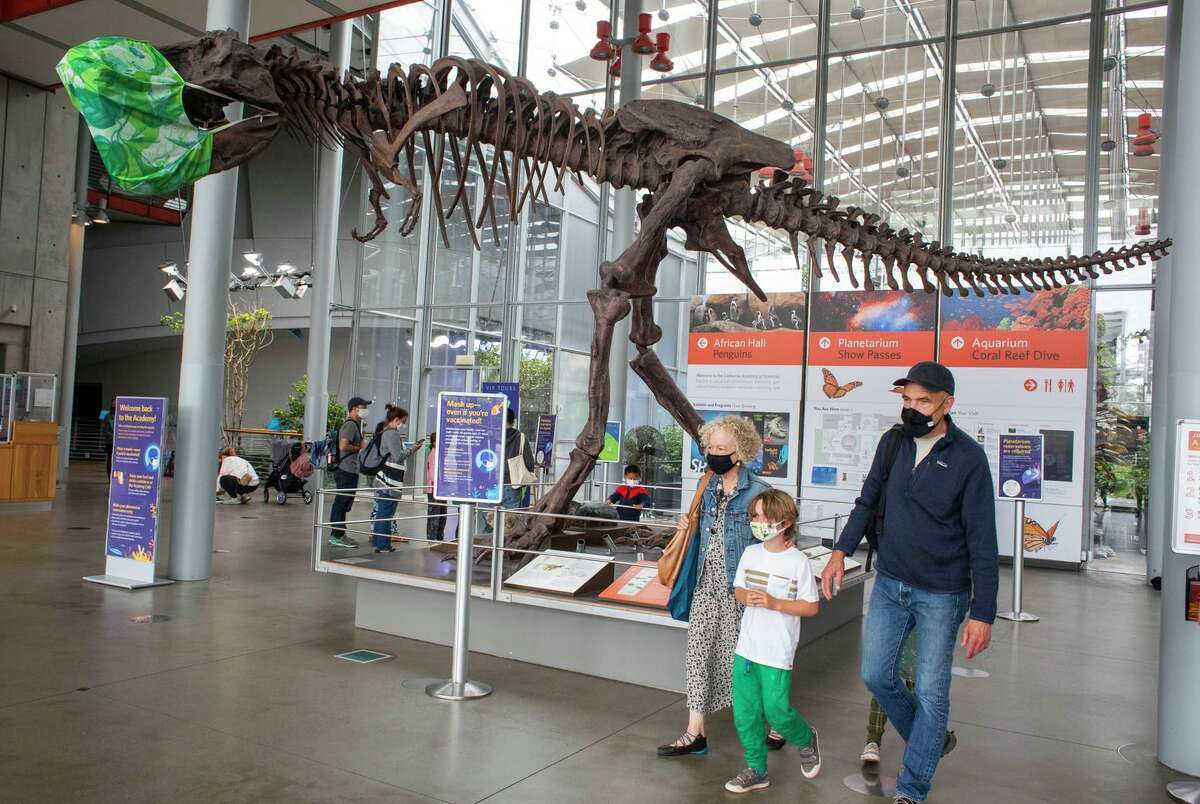 Visitors enjoy California Academy of Sciences exhibits in San Francisco, Calif., on Tuesday, August 3, 2021. August 3 marks the day that mask mandates are in effect once again because of increasing cases of COVID-19 in the Bay Area.