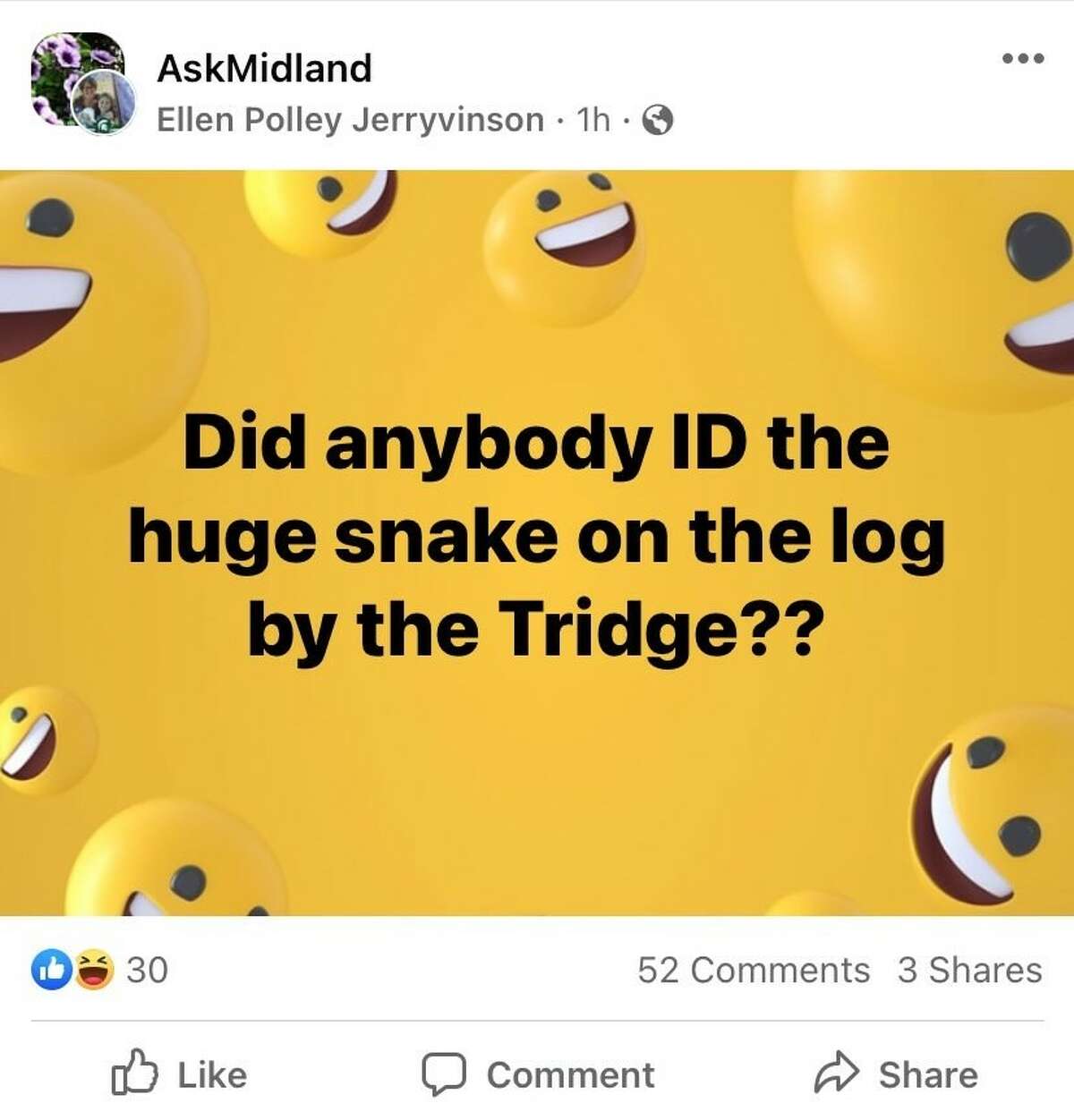 Here is a post by another resident asking if the snake in the Chippewa River ever got identified. 