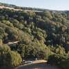 Police officials investigate Pleasanton Ridge, where authorities believe the body of Philip Kreycik was found, Tuesday, Aug. 3, 2021, in Pleasanton, Calif. Pleasanton police said the remains were found by a volunteer, who discovered the body under a tree about a quarter mile off the trail.