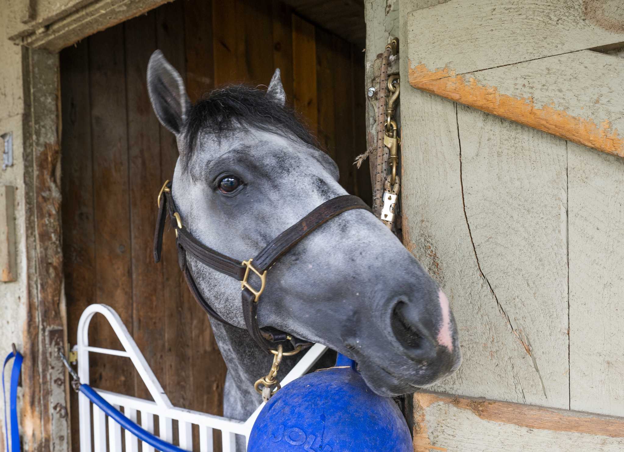 Small but solid field for 94th Whitney at Saratoga