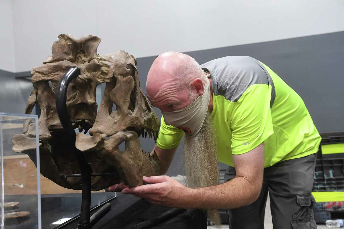 Marty Hoffman, aka "Park Ranger Marty," sets up. the fossil exhibit as workers with Jurassic Quest get ready for the opening of this weekend's shows in Beaumont at Ford Park. The event runs from 9 a.m. to. 5 p.m. Saturday and Sunday. Photo made Thursday, August 5, 2021 Kim Brent/The Enterprise