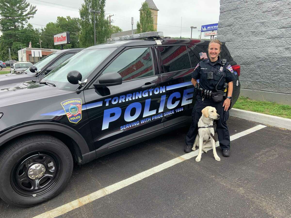 Torrington police therapy dog to the ranks