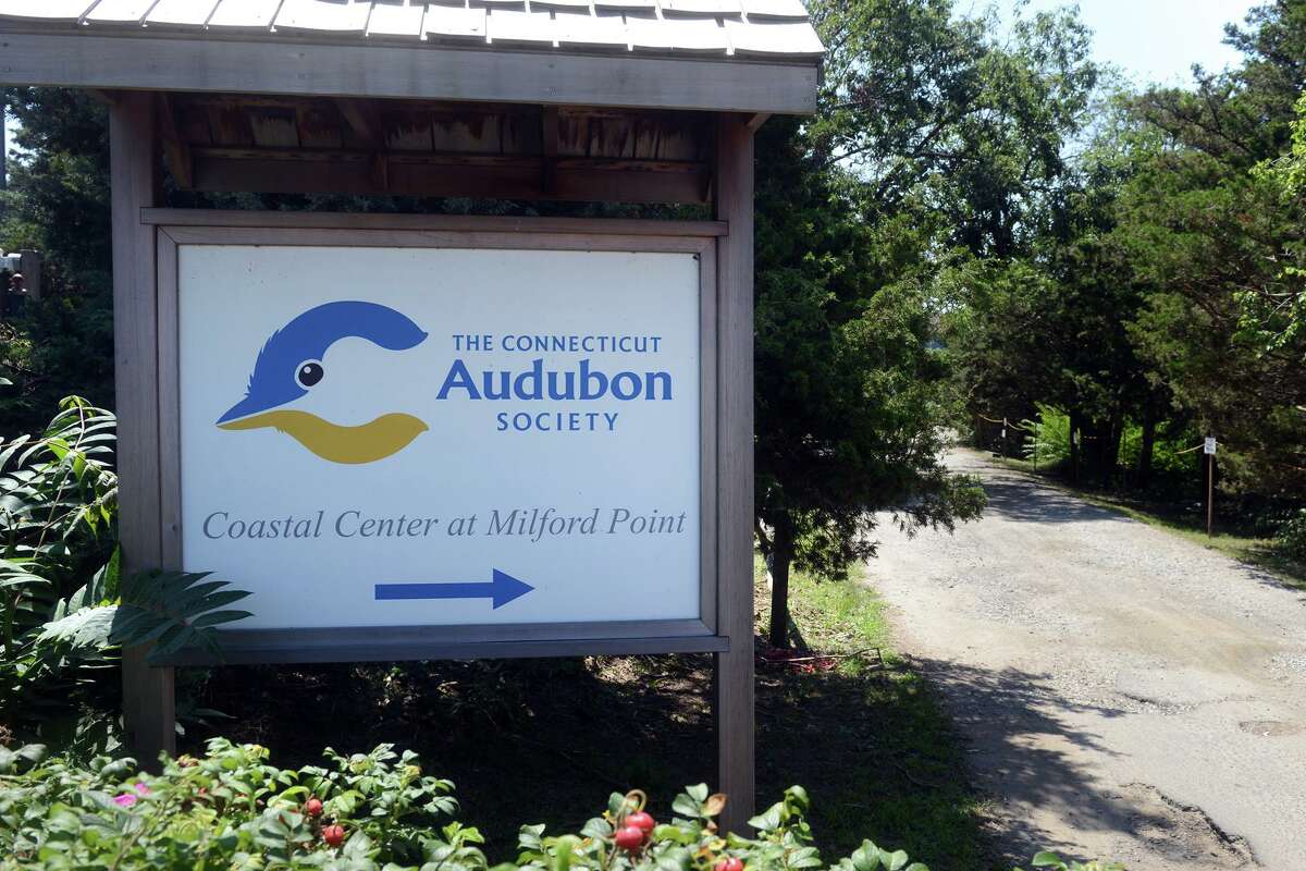 Connecticut Audubon Society Coastal Center at Milford Point, in Milford, Conn. Aug. 6, 2021.