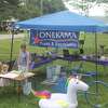 Onekama Days was in full swing over the weekend, with a car show, scavenger hunt, cornhole tournament and more to entertain residents and visitors alike.