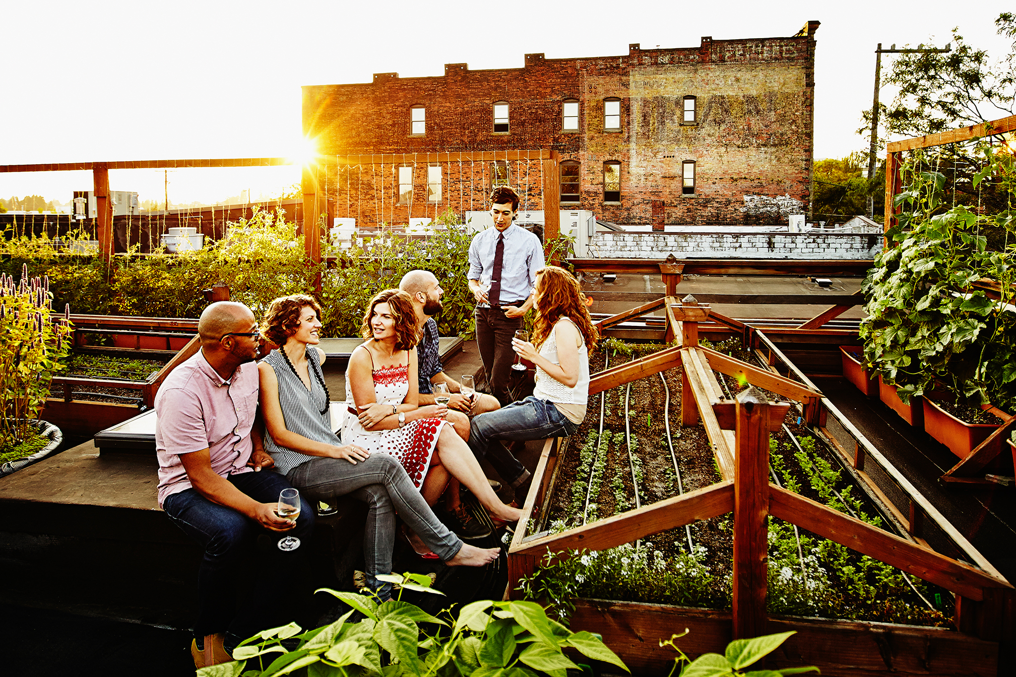 How to start a rooftop garden