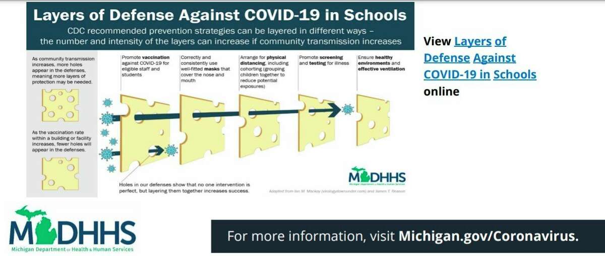 (Screenshot, michigan.gov/mdhhs)