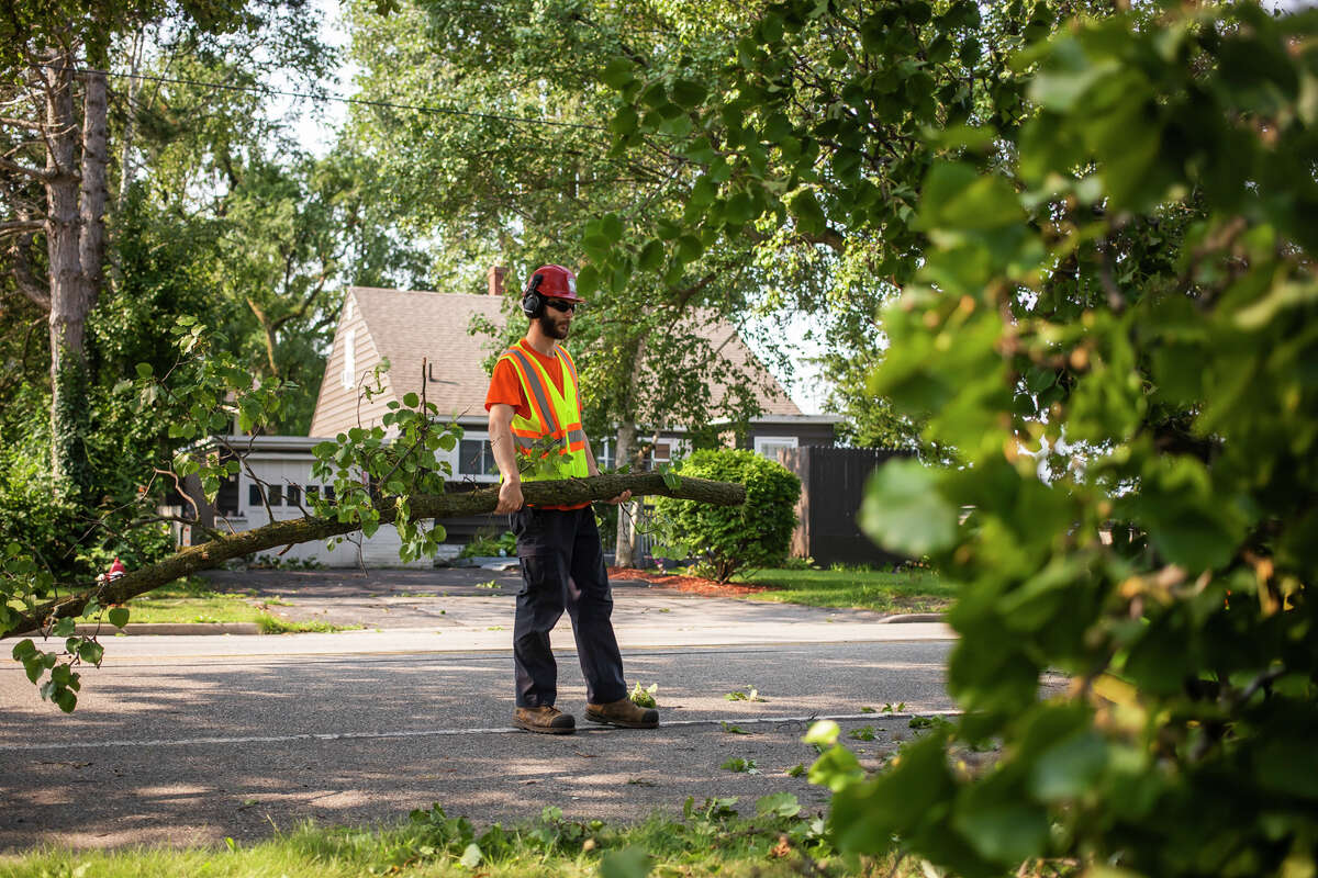 File - Dean Meyer with the City of Midland carries a tree branch from a Midland resident's front yard towards a woodchipper Wednesday, Aug. 11, 2021 after a severe thunderstorm the night before. (Katy Kildee/kkildee@mdn.net)