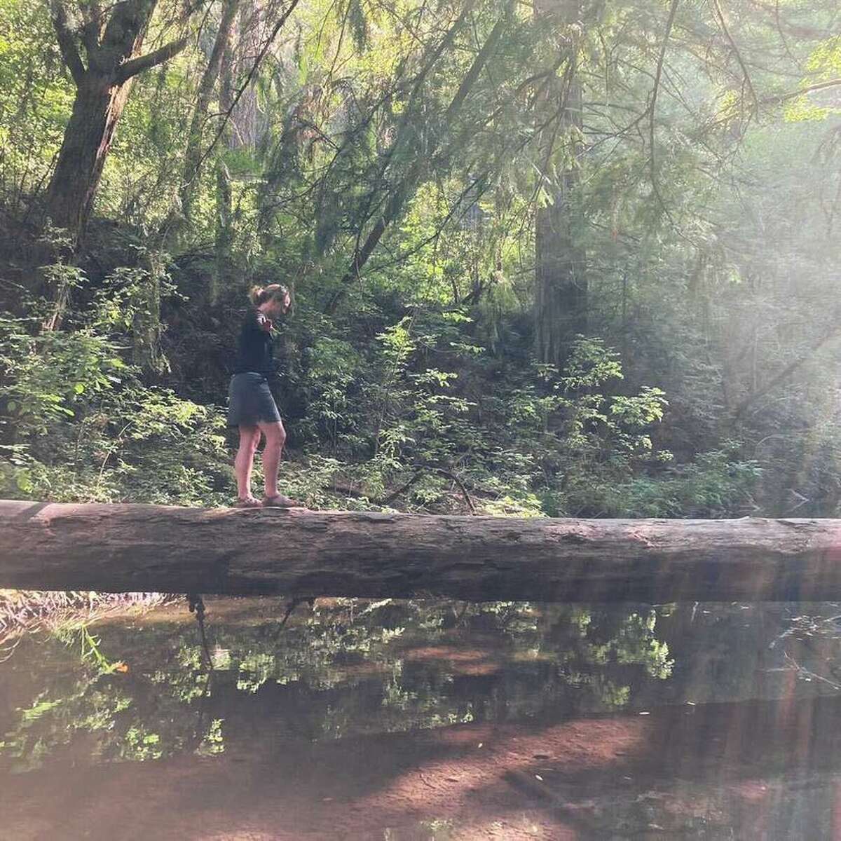 A woman crosses a log at Samuel P. Taylor State Park.