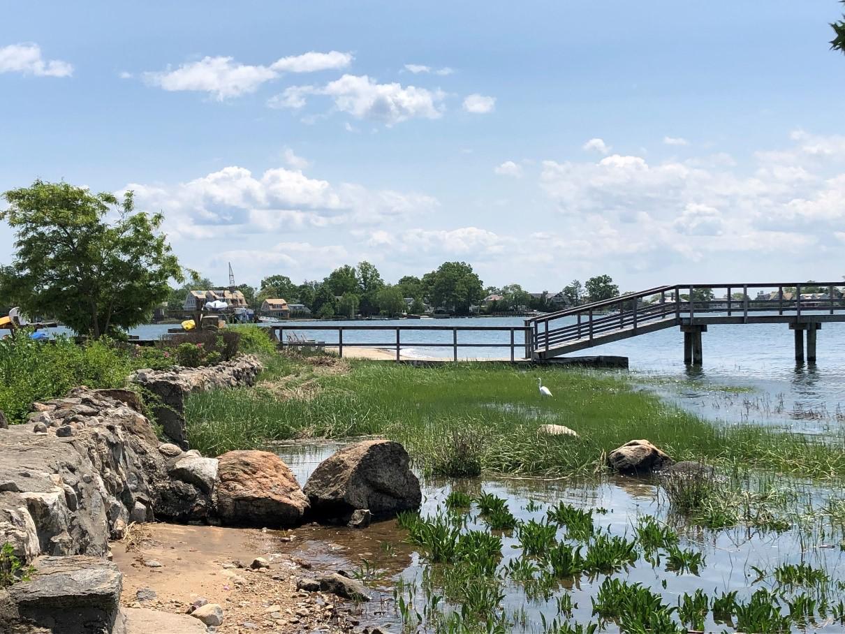 Donation to Greenwich Land Trust protects more shoreline in Riverside