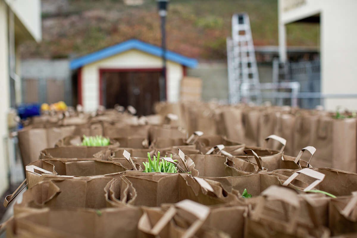 Some of the food delivered by Felisia Thibodeaux, executive director of the Southwest Community Corporation, sits ready to be distributed at the IT Bookman Community Center in San Francisco on August 11, 2021.