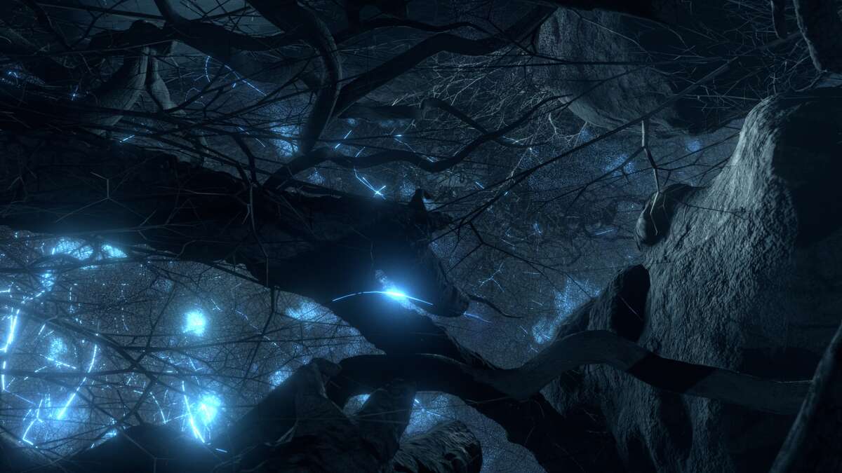 Netflix documentary 'Fantastic Fungi' explores the many magical properties of mushrooms