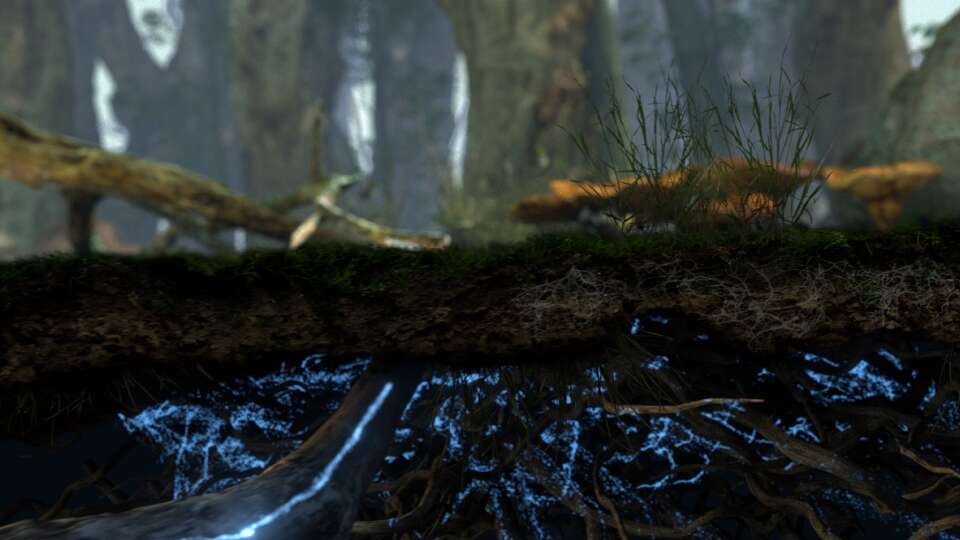 Netflix documentary 'Fantastic Fungi' explores the many magical properties of mushrooms