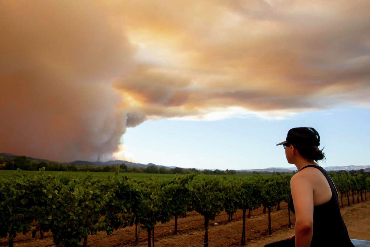 Cristina Flores of Windsor watches as large plumes of smoke from the Walbridge Fire in Sonoma County wafts over vineyards west of Healdsburg last August. That smoke — irritating to many people — has also shown a correlation with coronavirus infections and deaths, a new study concludes.