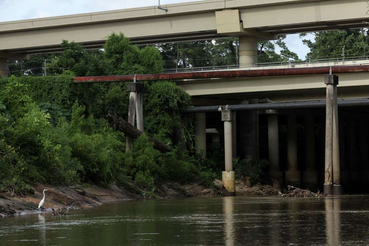 An egret sits near a large tree that is wedged into place on a pylon above Buffalo Bayou on Sunday, Aug. 8, 2021, in Houston.