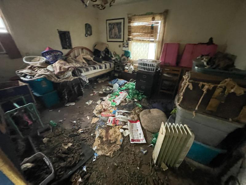 Authorities seize 84 live and 244 dead animals from Porter home