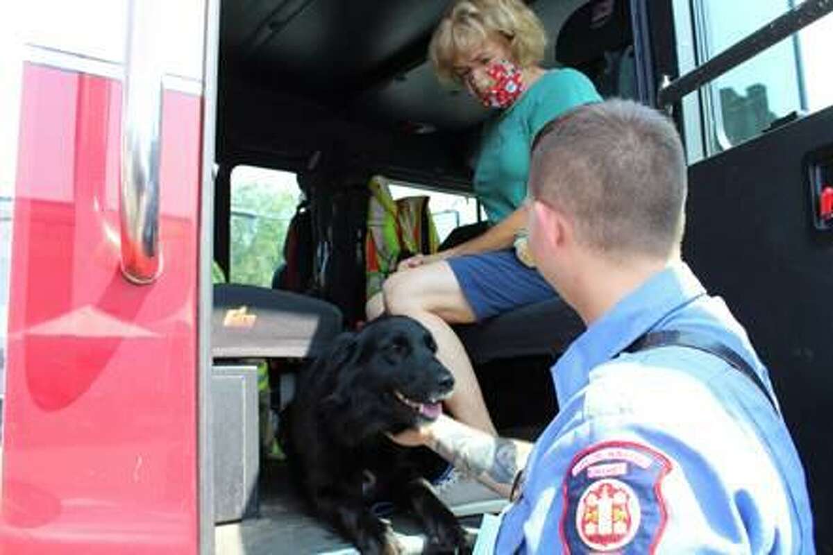 Community Health & Wellness Center in Torrington and Winsted held a community celebration Aug. 11, in recognition of National Health Week. An ECAD dog gets a pat from an EMT at the event.