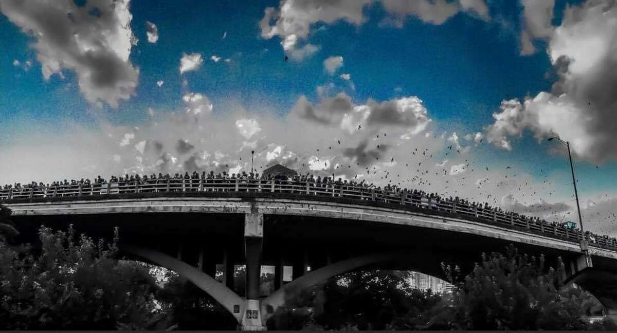 The Congress Avenue Bridge in Austin is home to the largest urban bat colony in the world. Austin reconstructed the bridge in 1980, and its crevices made an ideal roosting location for bats, who began flocking to the bridge by the thousands.