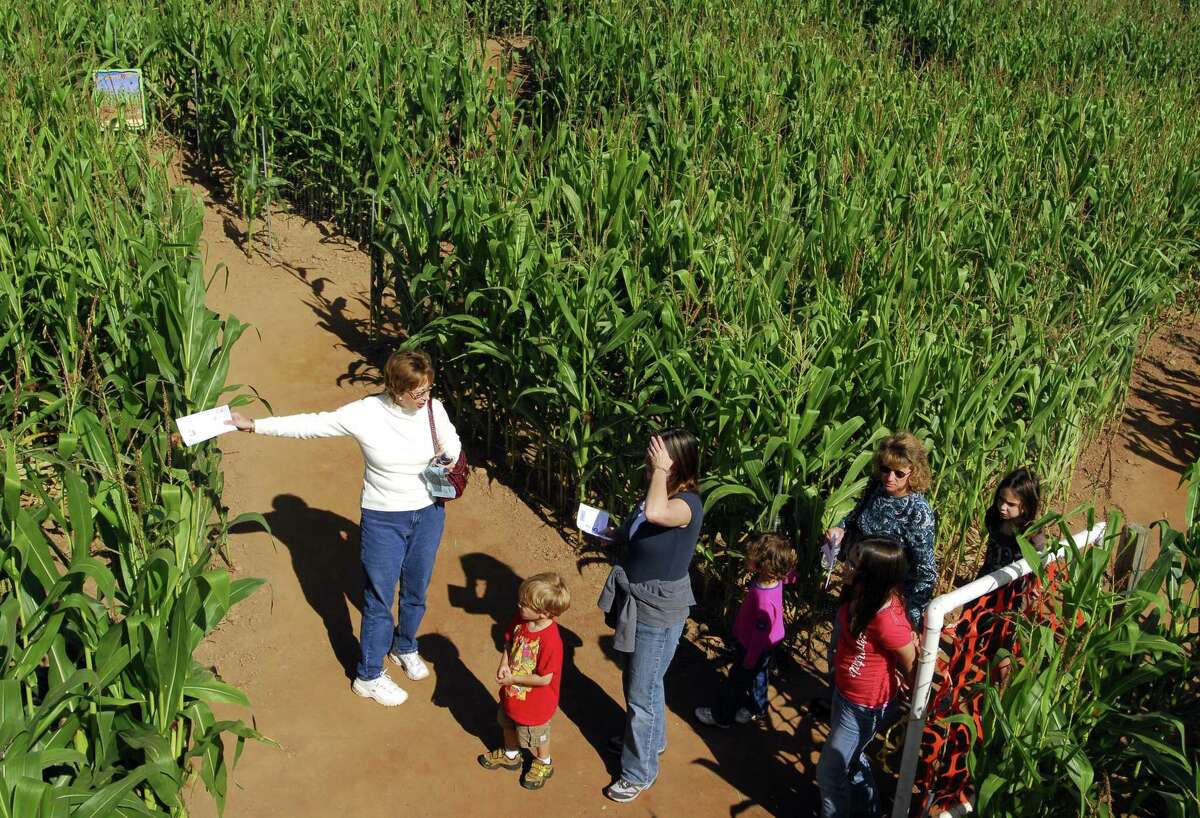 10 corn mazes in Connecticut to explore during the fall