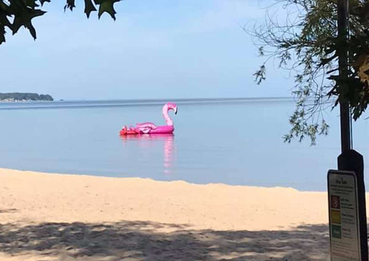An large inflatable pink flamingo floats off the shore of Port Crescent State Park.
