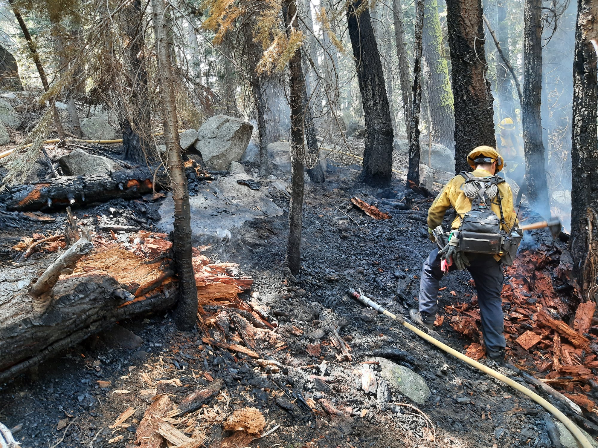 Bikini-clad Bay Area woman 'covered in scratches' started fire near ...
