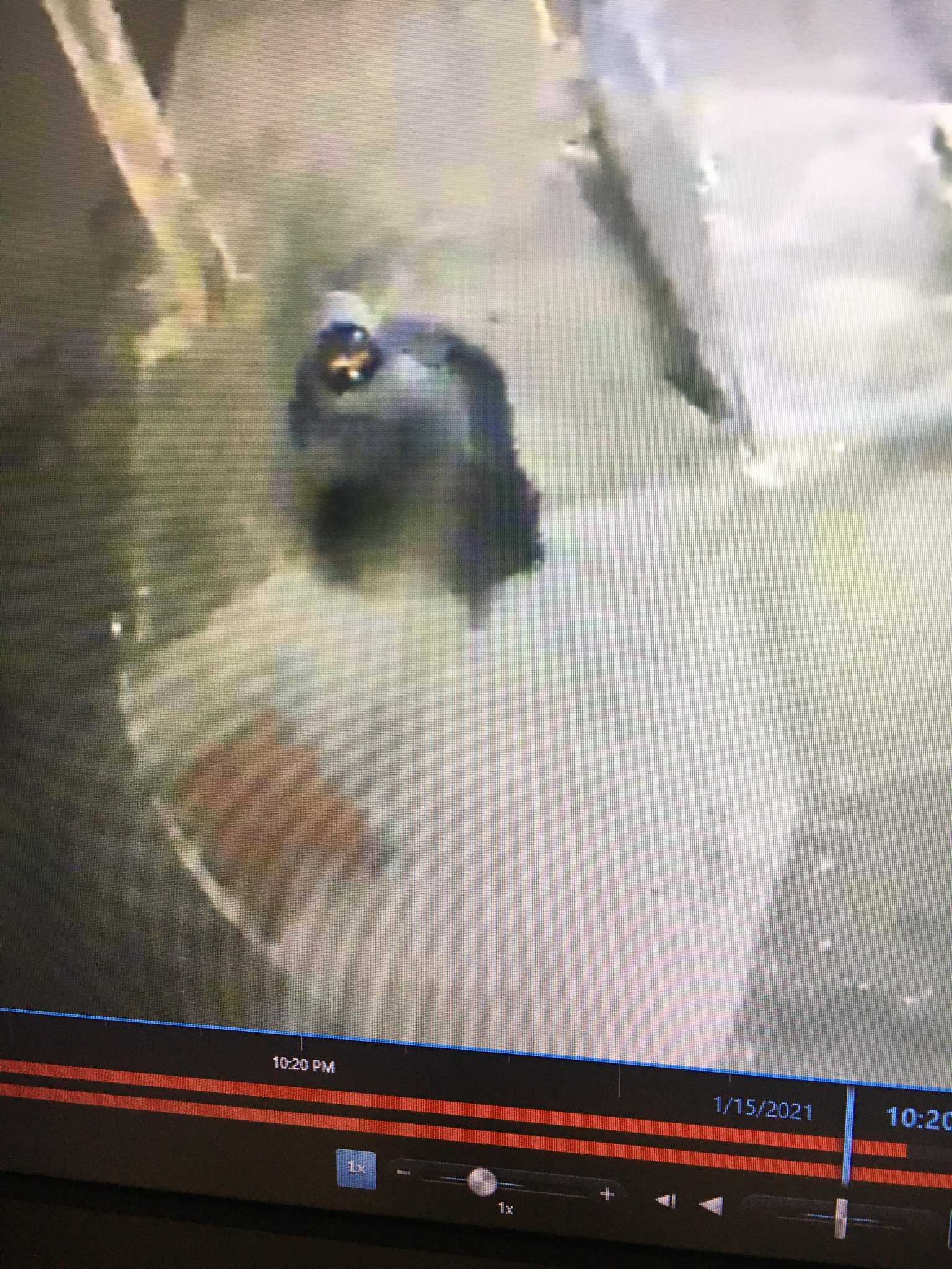 Bridgeport police seek help identifying alleged arsonist