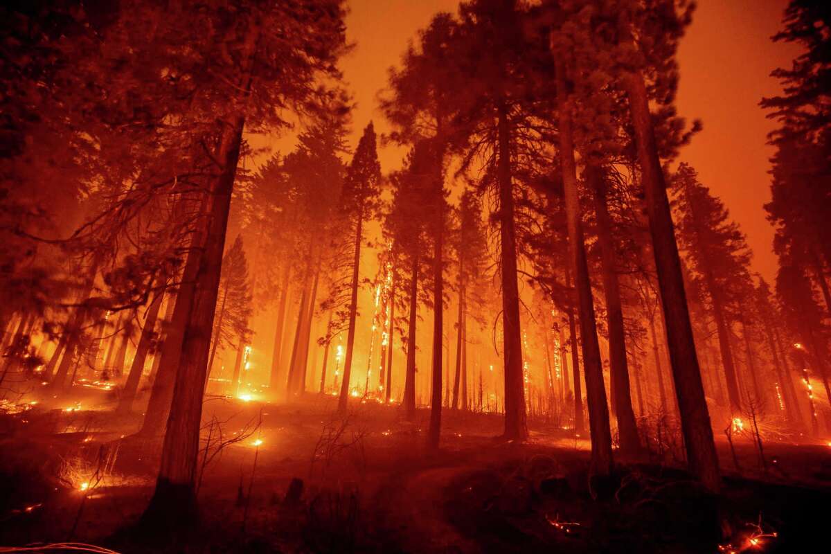 In this long exposure photograph, the Caldor Fire burns through trees on Mormom Emigrant Trail east of Sly Park, Calif.