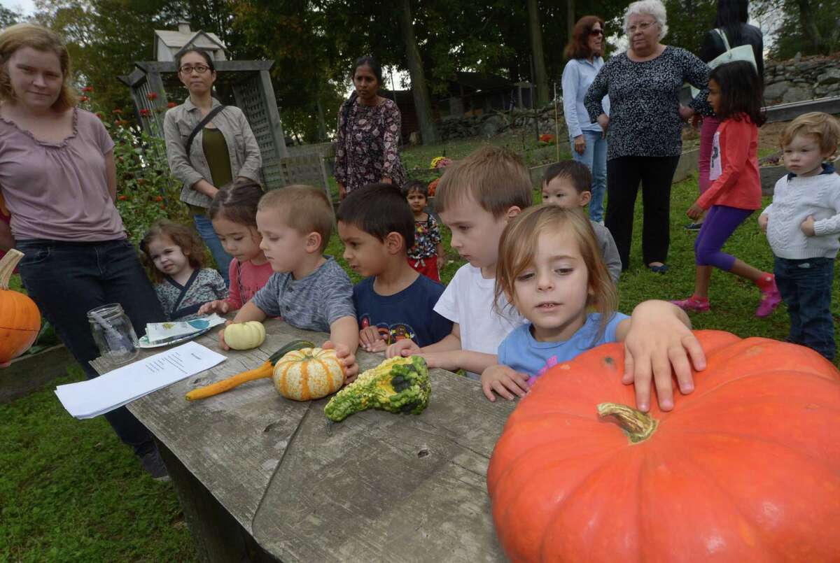 Wilton resident Hailey Hoffman, lower right, touches a large pumpkin at the Ambler Farm in Wilton in a previous year. One of the upcoming happenings with the Wilton Library in the town is an in person "Courtyard Police Officer Story time," on Thursday, Aug. 26, from 10:15 to 10:45 a.m. in the library's reference courtyard.