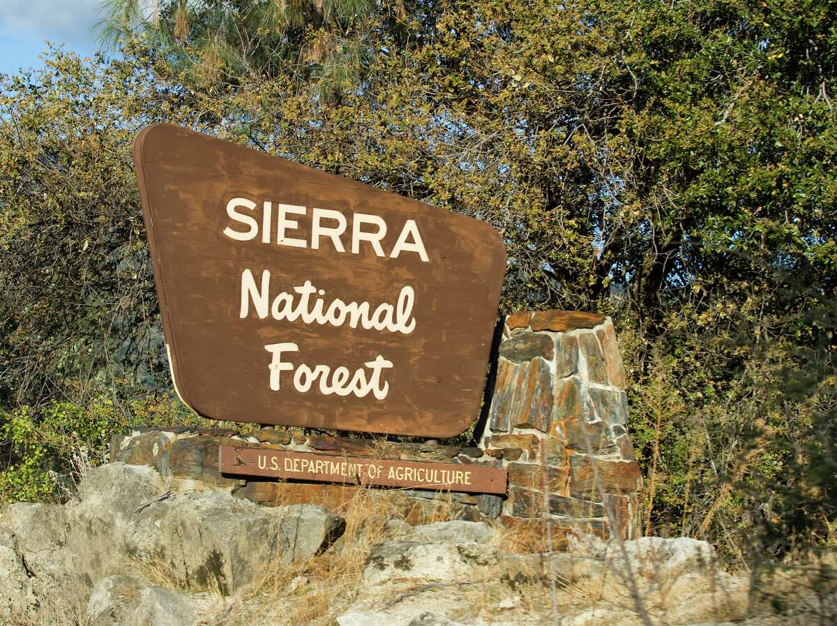 Sierra National Forest sign.
