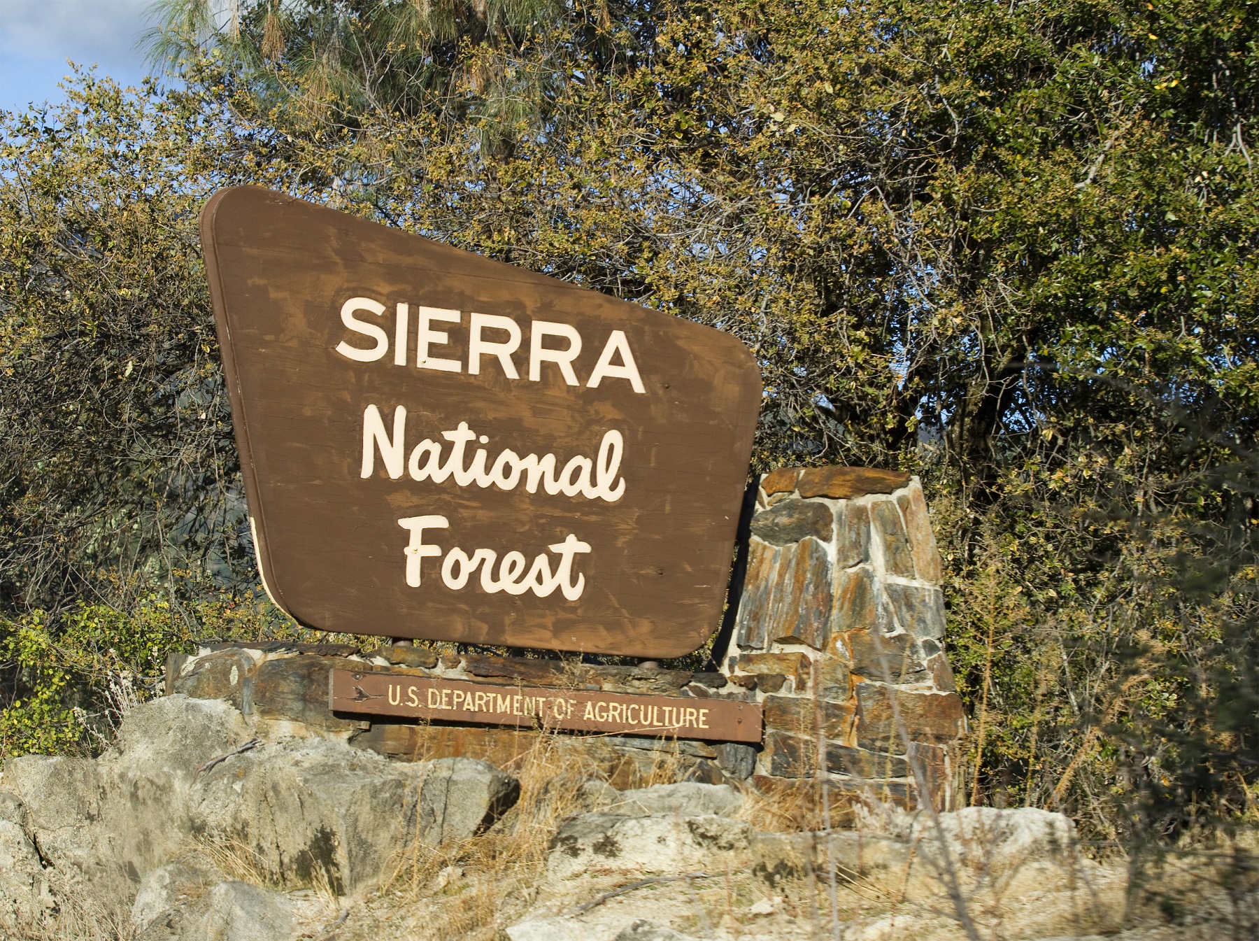 are dogs allowed in sierra national forest