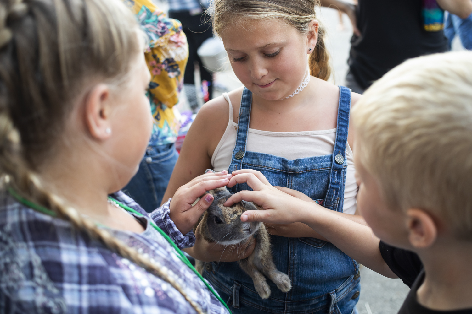 Small Animal Auction During Midland County Fair