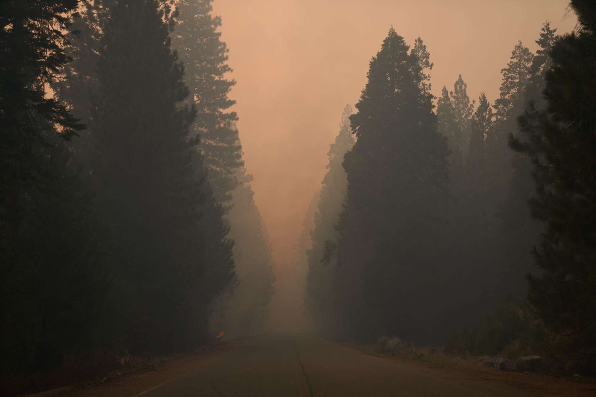 FILE: Smoke hangs low and is pushed onto Mormon Emigrant Trail as winds subside on Aug. 18, 2021, in Pollock Pines, Calif.