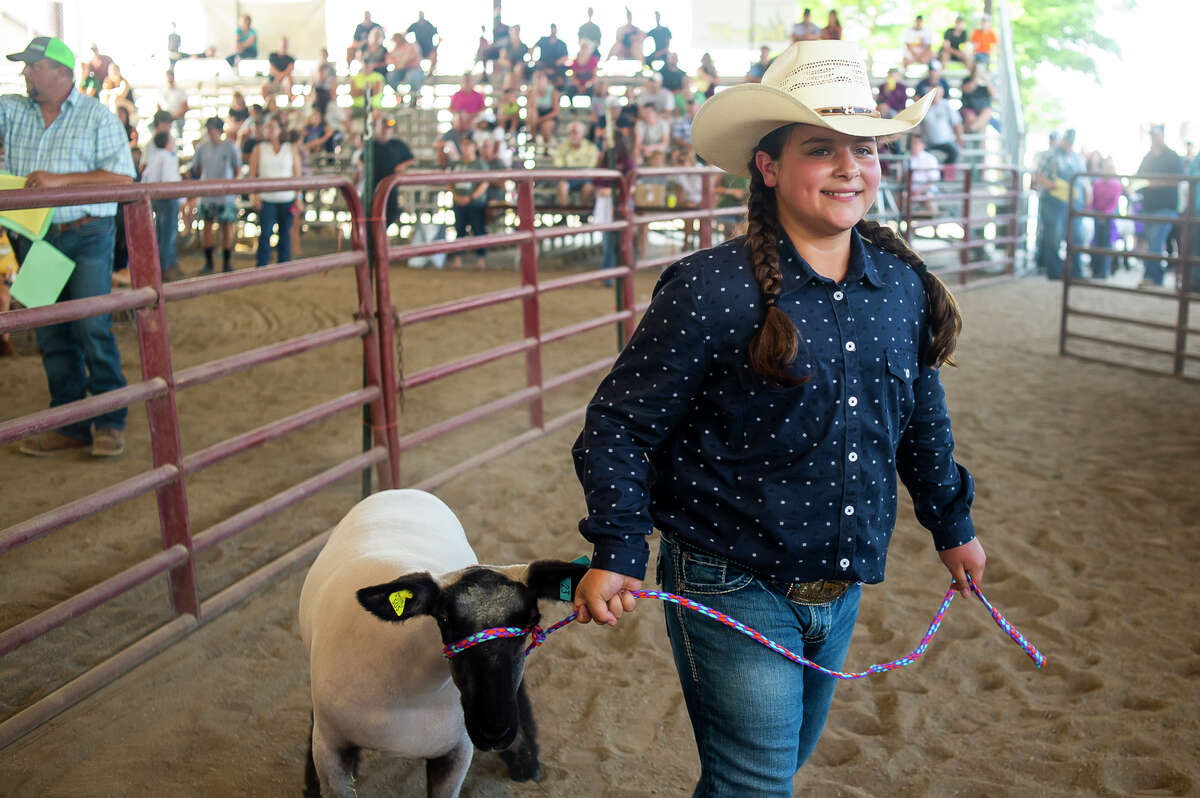 Ivy Maciag shows her lamb during the Midland County Fair large animal auction Thursday, Aug. 19, 2021 at the Midland County Fairgrounds. (Katy Kildee/kkildee@mdn.net)