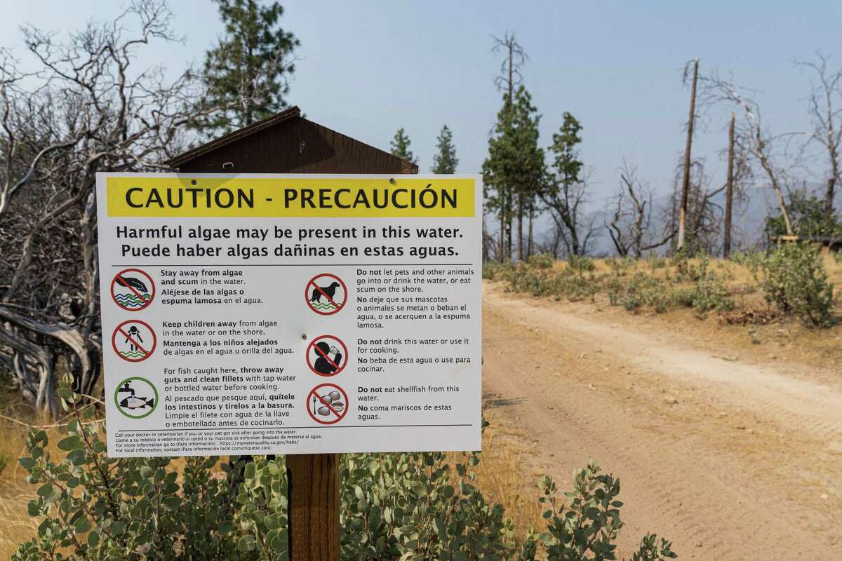A sign warning visitors of harmful algae is located at the Hites Cove / Devils Gulch trailhead area, on Thursday afternoon, August 19, 2021, in Mariposa County, California. A family of hikers, found dead, had parked their car at this trail head.