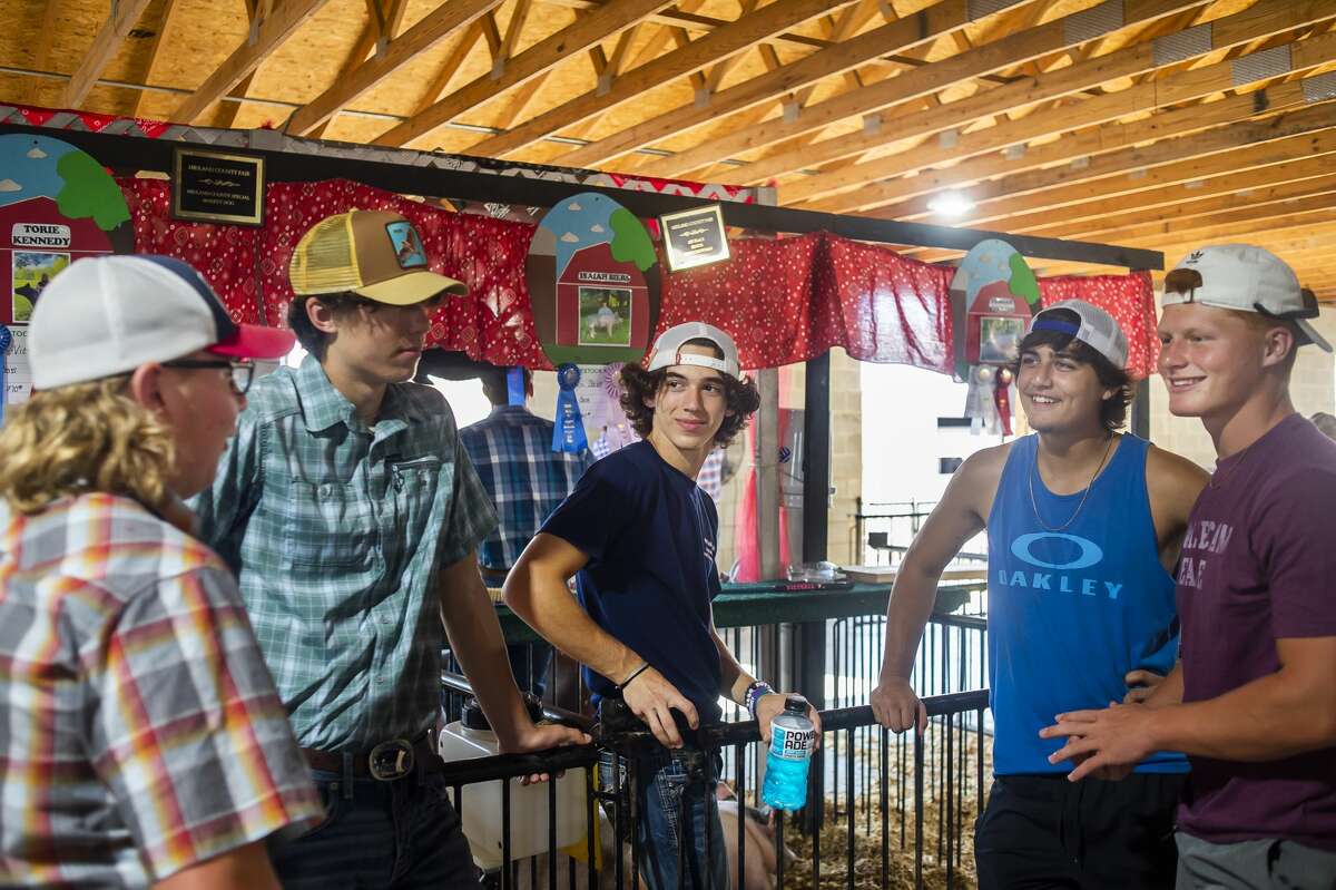 Isaiah Biers, 15, chats with friends before showing his pig in the large animal auction on Thursday, Aug. 19, 2021 at the Midland County Fairgrounds. (Katy Kildee/kkildee@mdn.net)