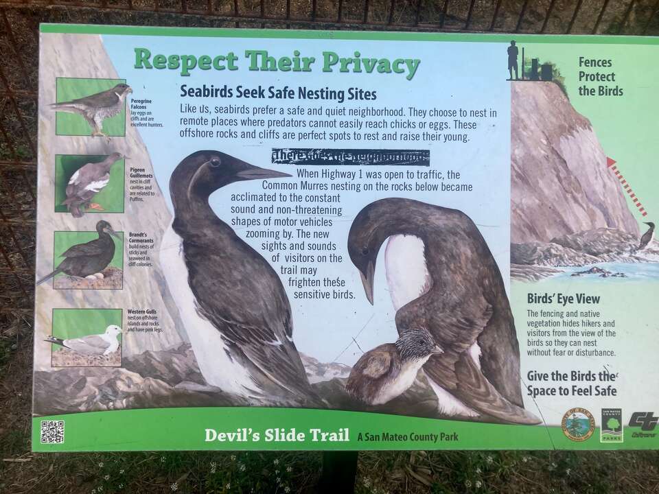 Hammered by landslides, the Devil’s Slide Trail makes for drop-dead ...