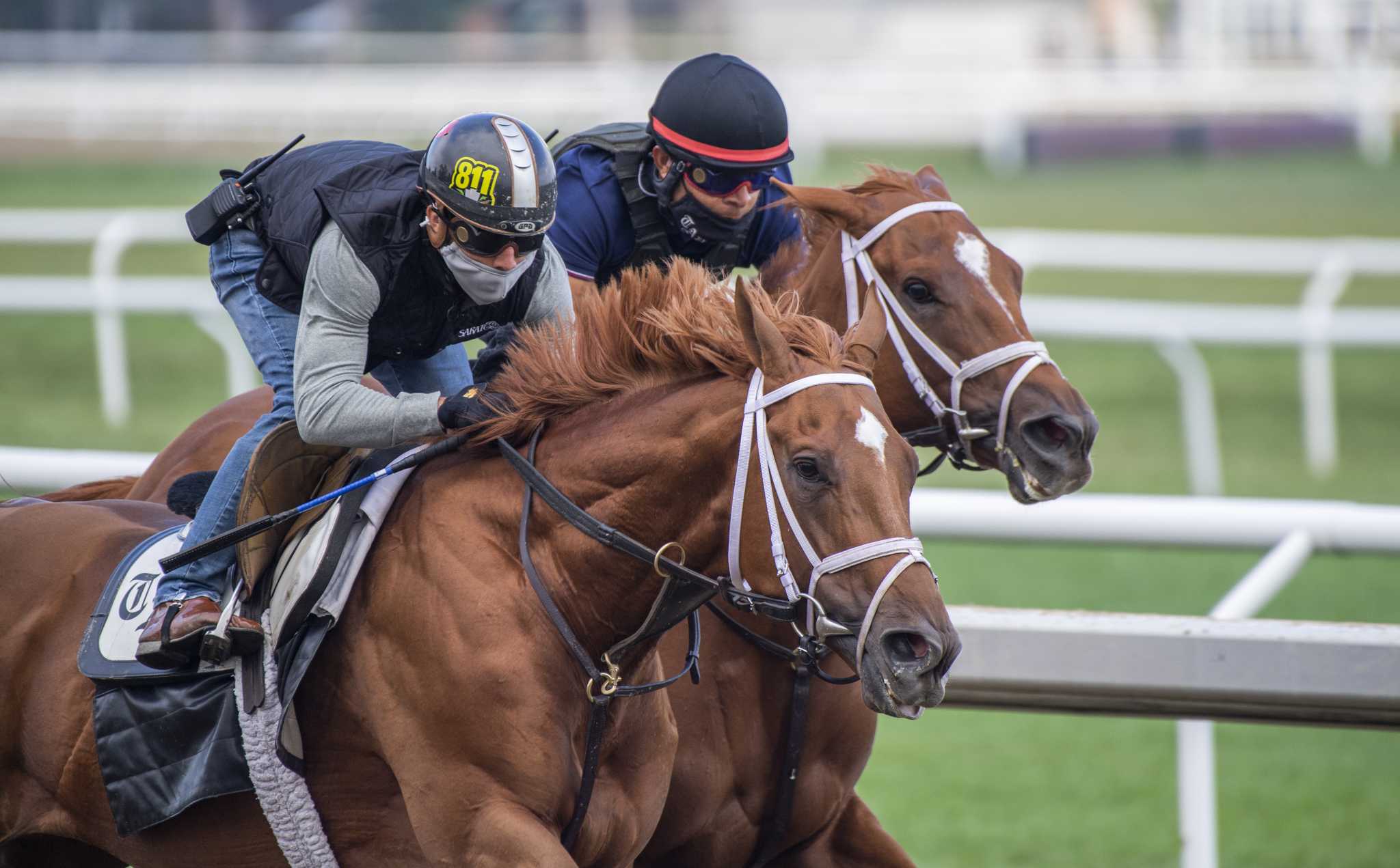 Repole hopes Dynamic One is the one in Travers - Vimarsana News