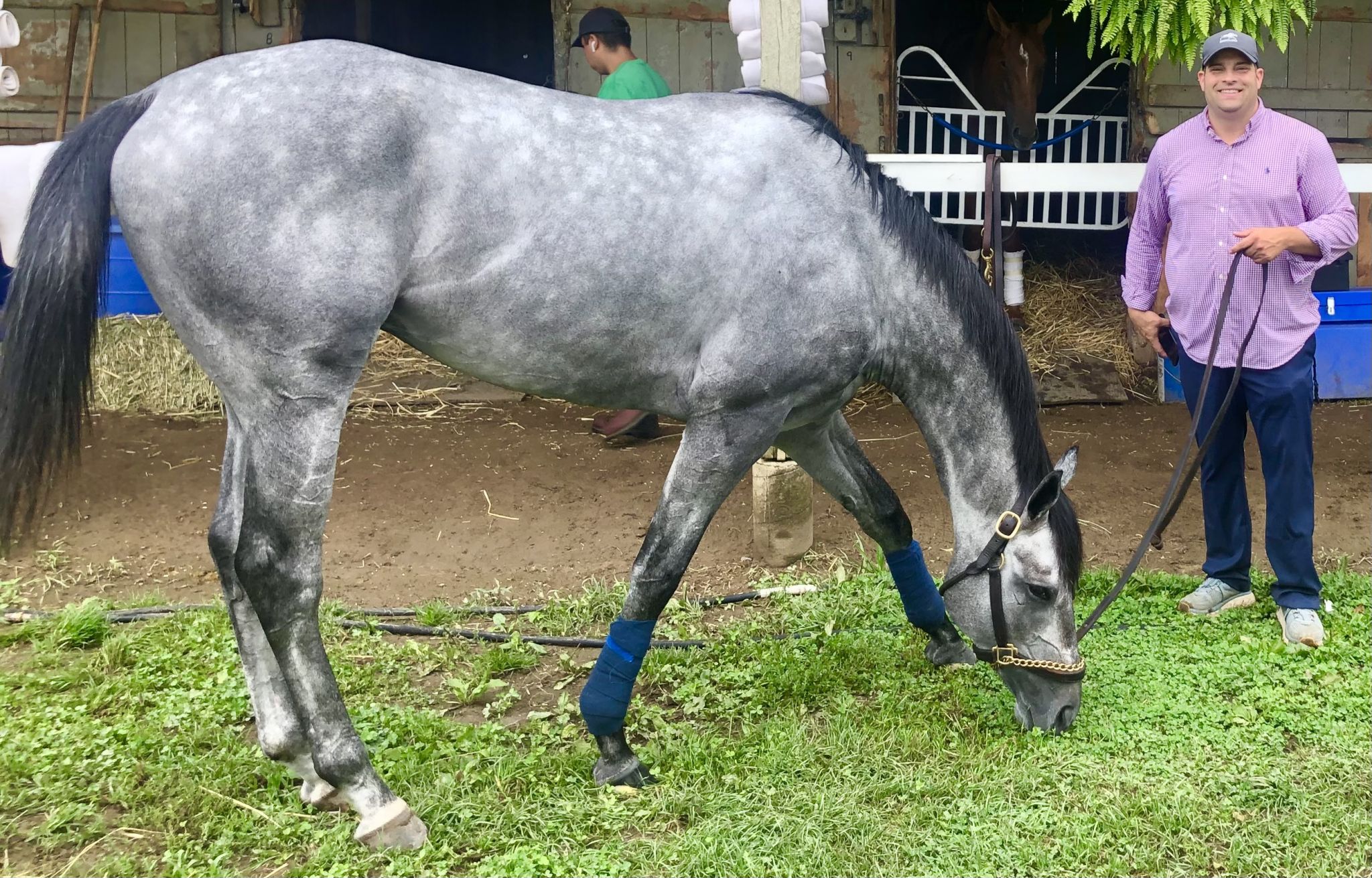 Essential Quality ready to roll after final Travers work - Vimarsana News