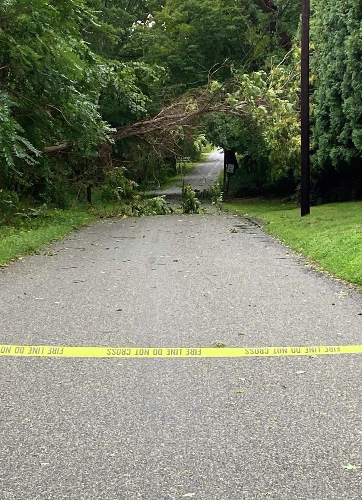 A tree fell in Canterbury, Conn. and remained hanging above the road during Tropical Storm Henri