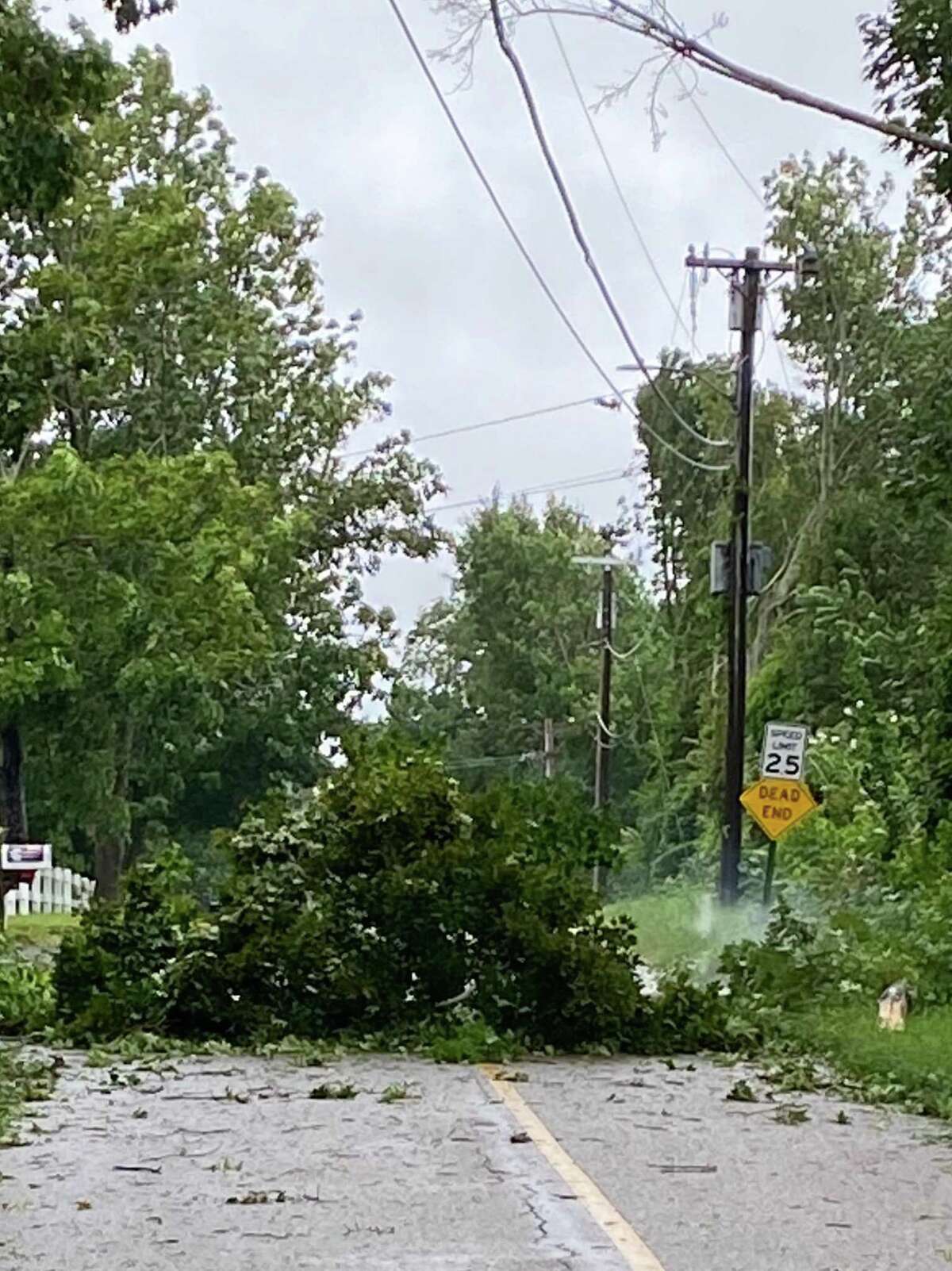 Tropical Storm Henri took knocked down trees and wires across the state, including at the Plainfield-Canterbury line.