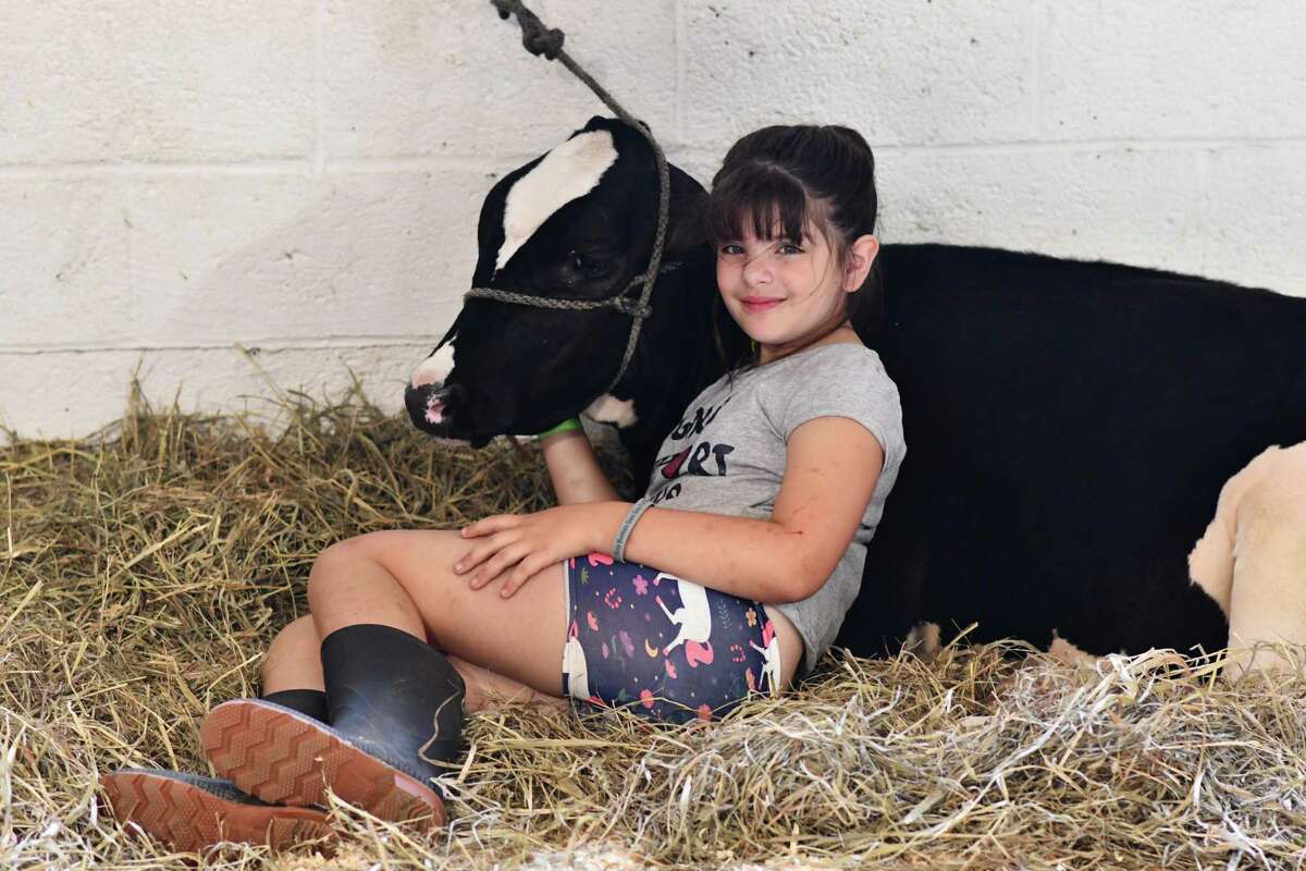 Madelyn Wheeler sits with her cow in one of the barns.